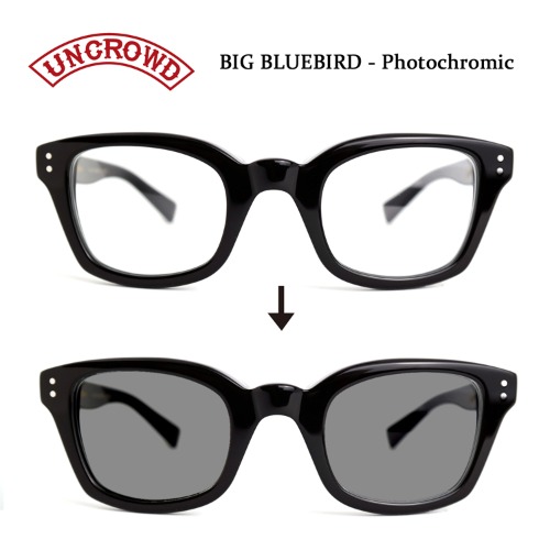 BIG BLUEBIRD *Photochromic Series(Blk-Photochromic) *New