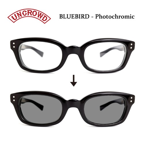 BLUEBIRD *Photochromic Series(Blk-Photochromic) *New